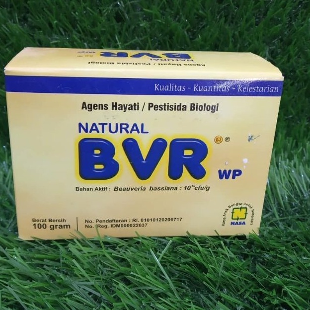 pestisida hayati natural bvr - agens hayati pestisida alami pengendali walang