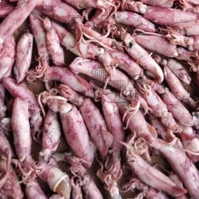 

CUMI TELOR TELUR ASIN - PASAR KEMIRI