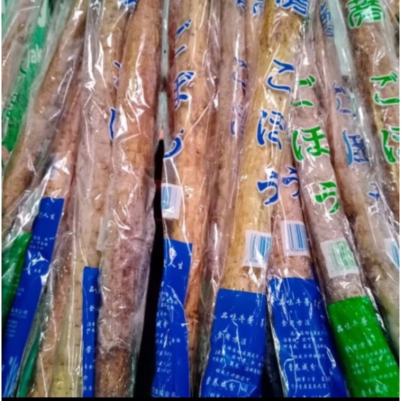 

gobo import (akar ketela jepang)