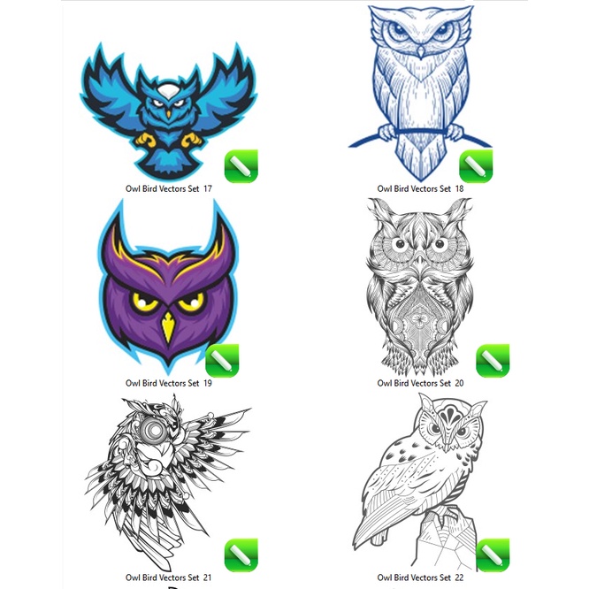 Owl Bird Vectors - Coreldraw