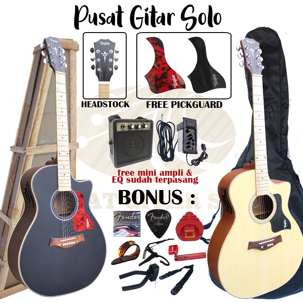 Gitar Akustik Taylor Double Run NECK UTUH