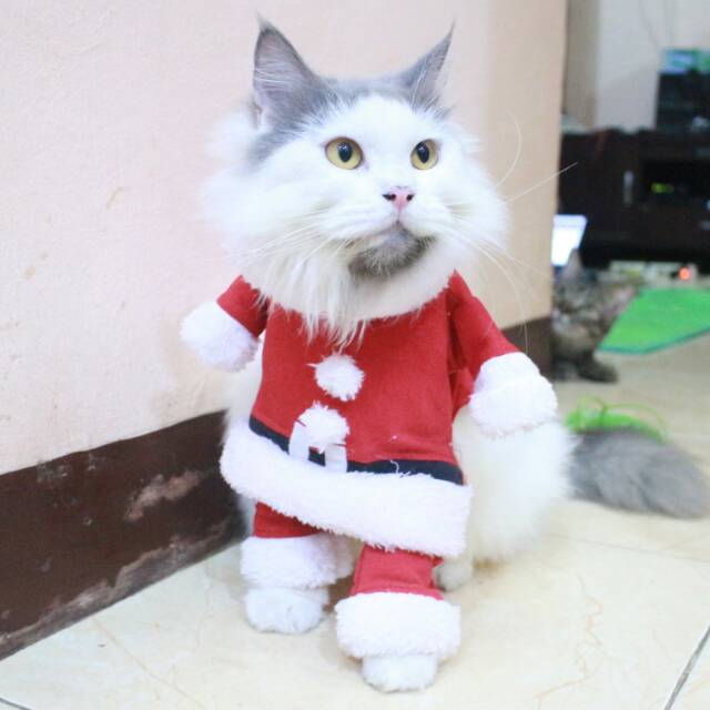 Kostum santa untuk kucing &amp; anjing /Jual Baju Kucing Terlengkap &amp; Berkualitas size S-XL