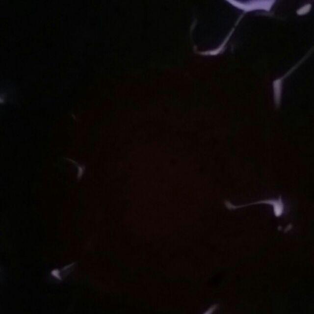 Couple Batik Krida Brokat Pinguin 125