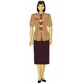 BAJU PRAMUKA RAPILO PENDEK WANITA BAJU PRAMUKA GURU WANITA BAJU PEREMPUAN PEMBINA PENEGAK PENDEK BAJU PRAMUKA GURU PEREMPUAN SERAGAM PRAMUKA KUARNAS PRAMUKA PNS