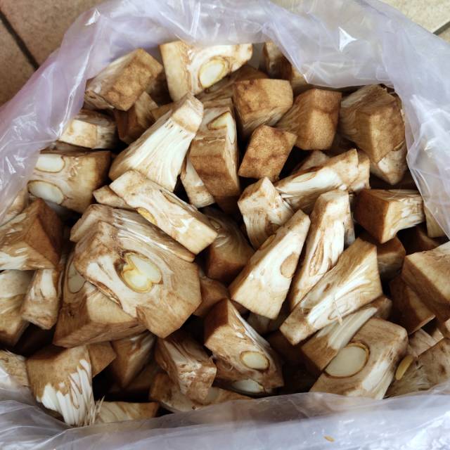

Nangka Muda 500gr
