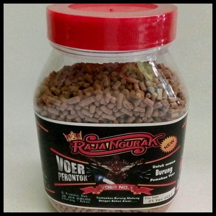 RAJA NGURAK SOLUSI VOER UNTUK BURUNG YG KESULITAN MABUNG.~BERKUALITAS~