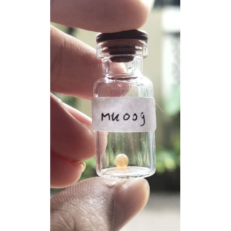 mustika sir alam asli temuan sepuh kuno antik pusaka MK09