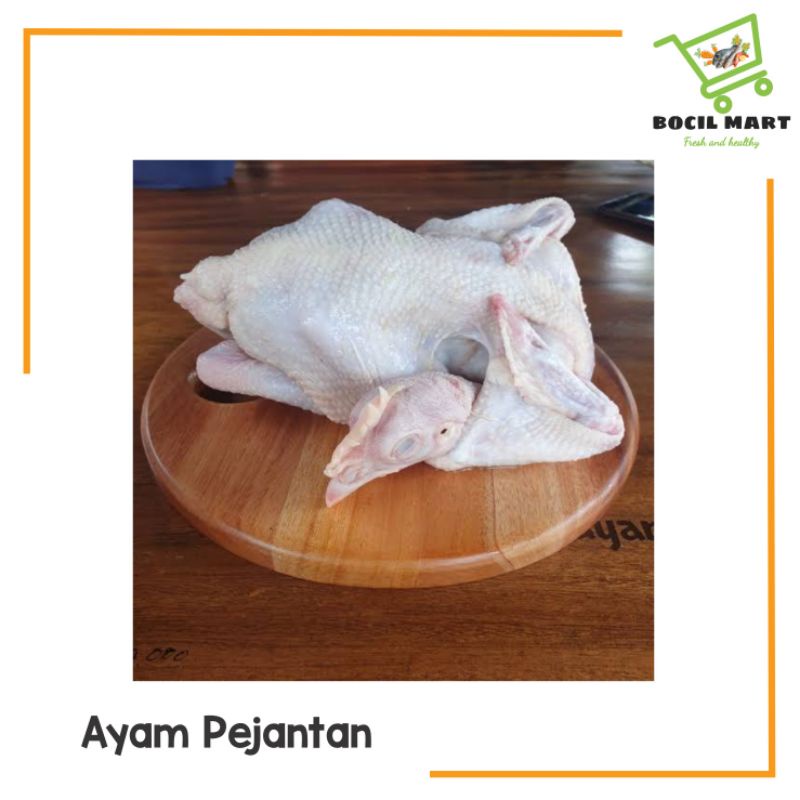

BOCIL MART AYAM PEJANTAN 1 EKOR