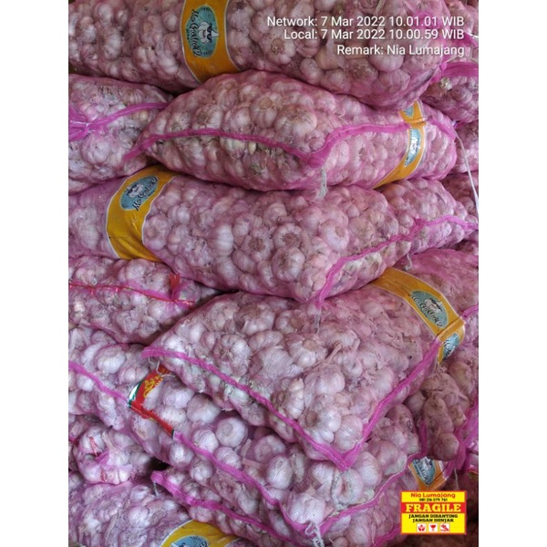 

Khusus GROSIR Bawang Putih Campuran BERSIH 10 kg