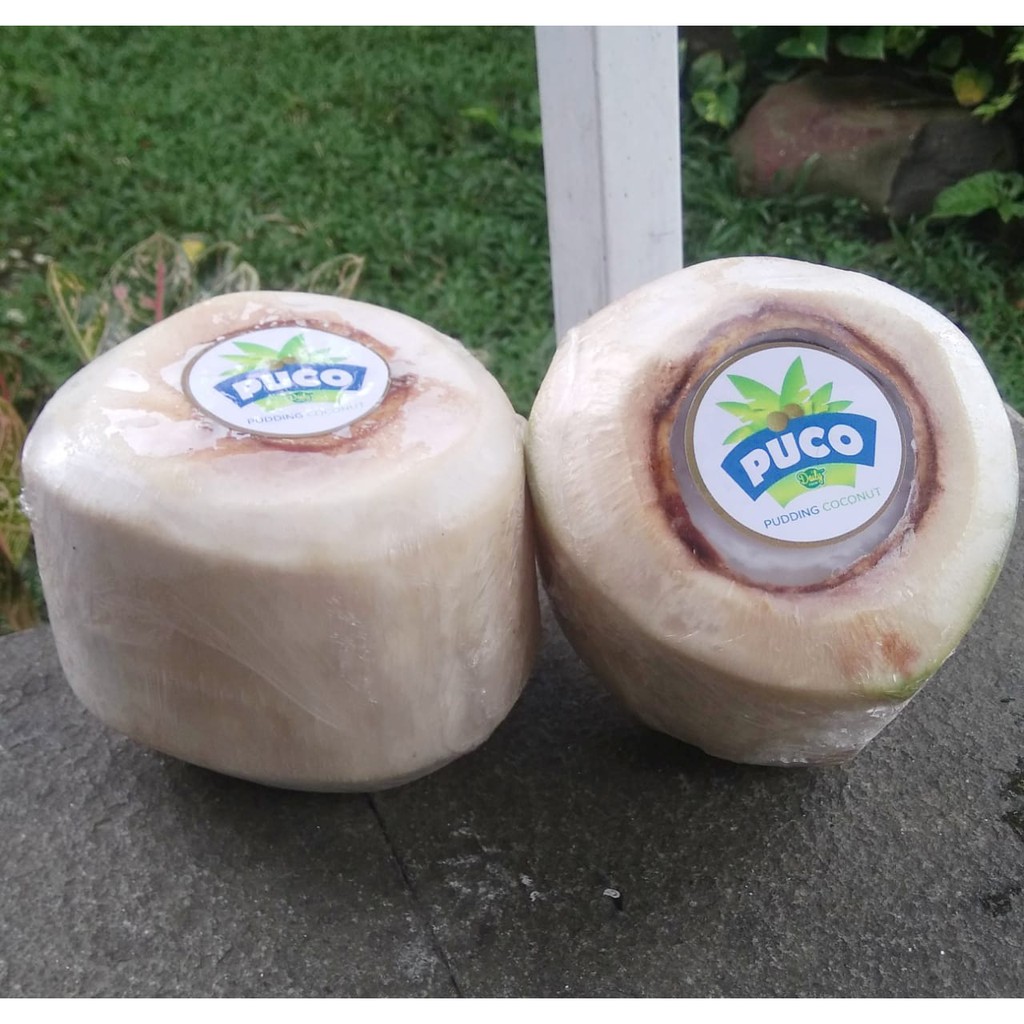 PUDING KELAPA ASLI PUCO PUDDING COCONUT DAILY FOOD