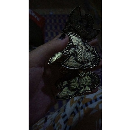 Pin Brigez