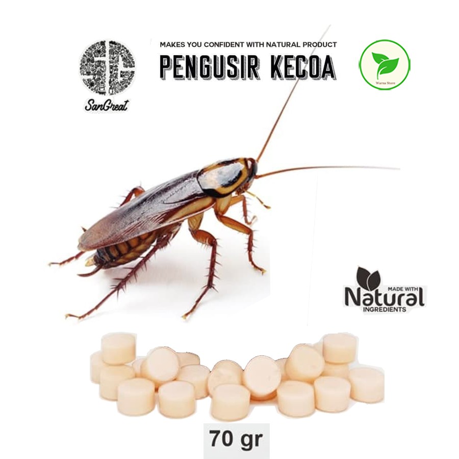 Pengusir Kecoa, Bye Bye Kecoa Gel 70 gram