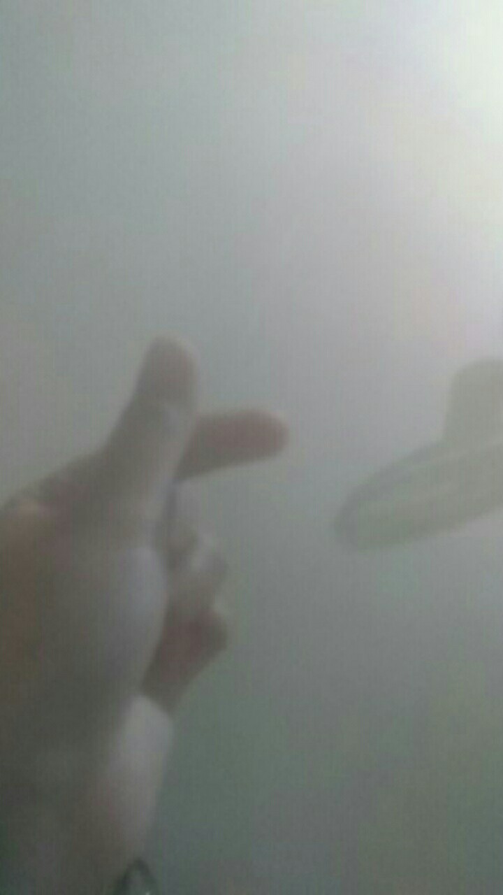 Dispenser Air Sahara Lion Star 12 L