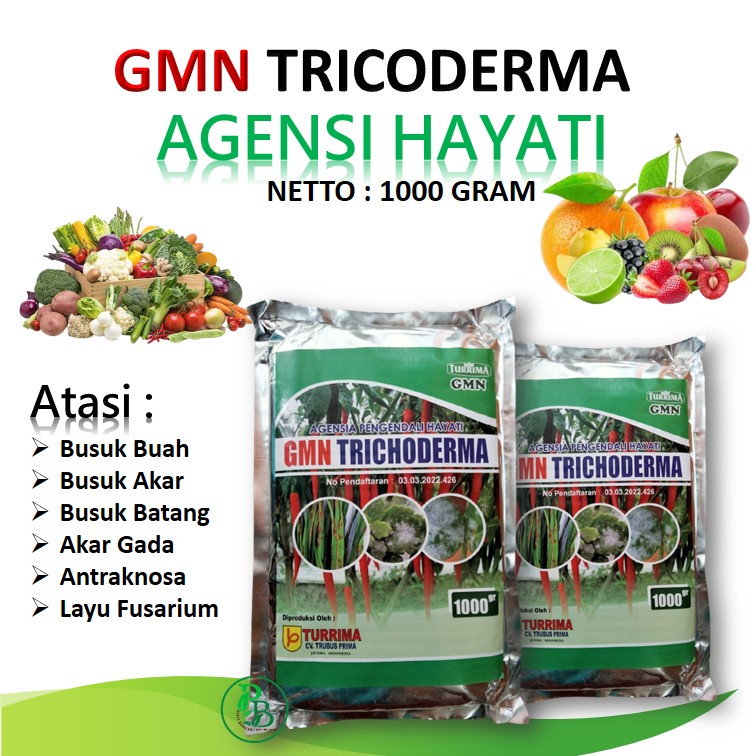 Pupuk Trichoderma Fungisida Hayati Pembasmi Layu Fusarium Pisang