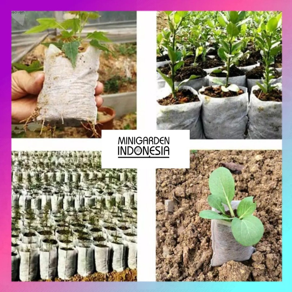 SEEDLING BAG JUMBO ECERAN 1 LEMBAR pot biodegradable polybag semai benih bibit nursery pot nonwoven planterbag