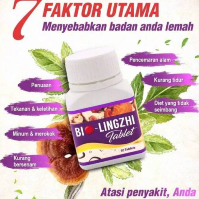 Bio Lingzhi Asli Obat BIOLINGZHI pencegah dan mengobati kanker ginjal dan hati 100% asli original