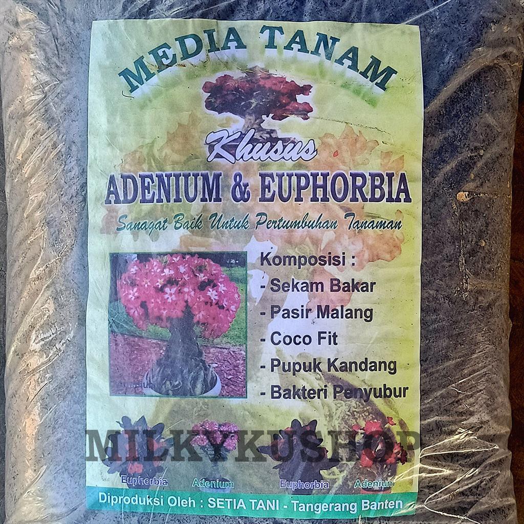 MEDIA TANAM ADENIUM EUPHORBIA KEMASAN PABRIK VIA CARGO