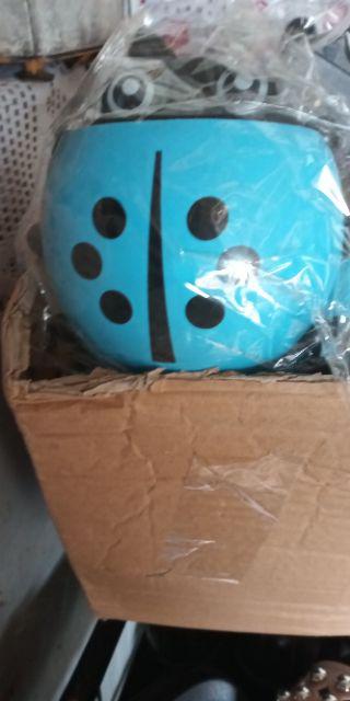 Kasimurah K043 Tempat Sikat Pasta Gigi Lady Bug Toothpaste Brush Organizer Container Lady Bug Grosir