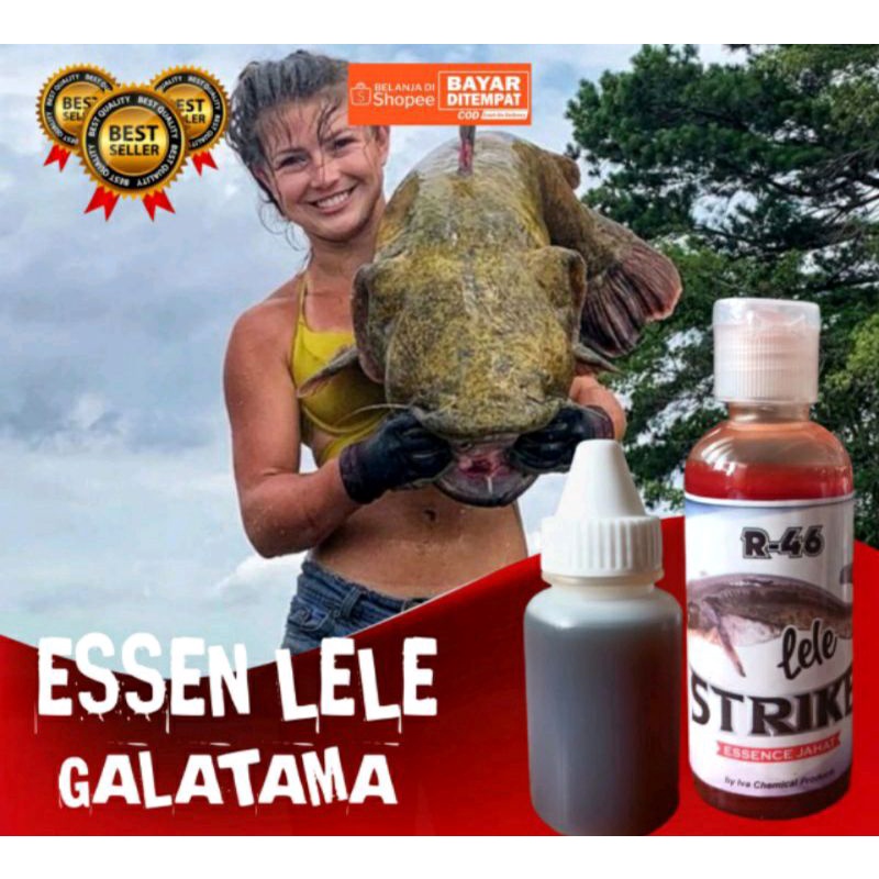 Essen R46, essen lele, galapung,harian,liaran, Galatama/esen ikan lele essen ikan air tawar,kolama dan