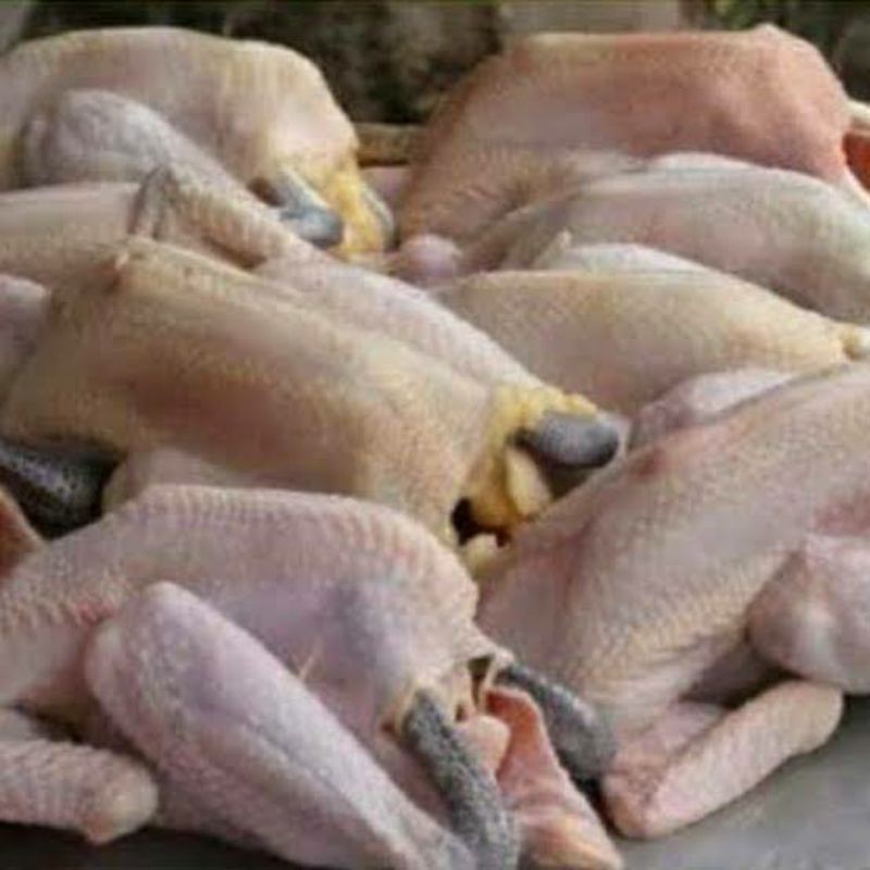 

[Ayam Segar 88] - Ayam Kampung Betina /ekor +/- 1kg