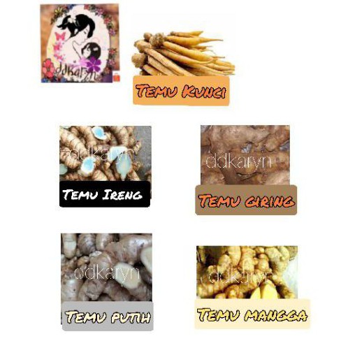 

Temu mangga/item/putih/kunci/giring asli /segar 1kg