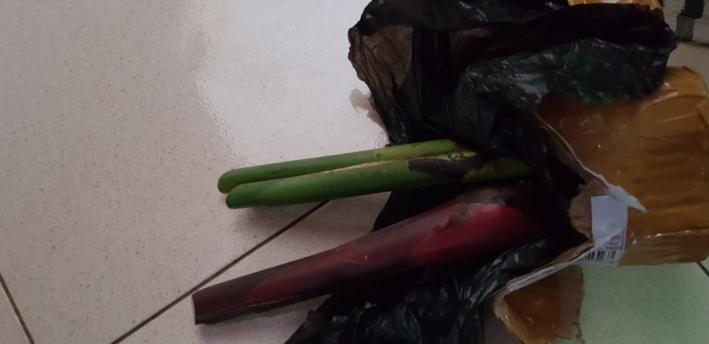 Manbar - Bibit Honje Merah Atau Honje Laka