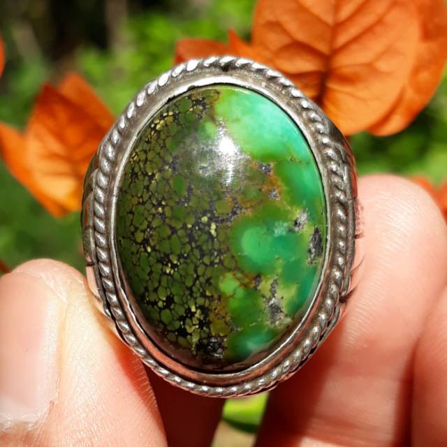 Natural Pirus Hubei Dwi Warna Asli Unik Langka