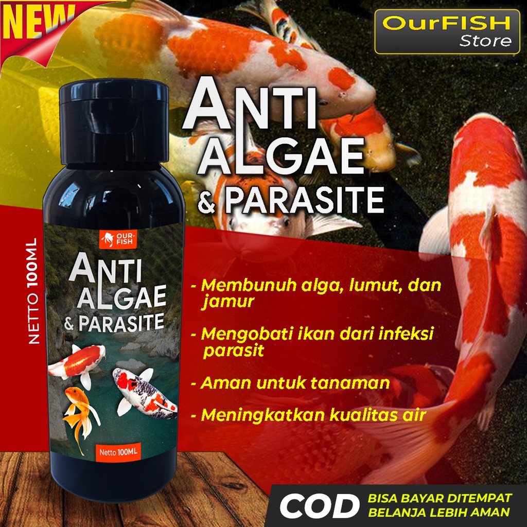 OURFISH - Anti Algae Parasit Obat Pembasmi Lumut Kolam Aquarium 100ML