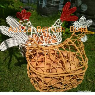 Keranjang Telur Ayam Muat 30 Telur 25X17X30Cm Tempat Telor Keranjang Telur Ayam Muat 30 Telur 25X17X30Cm Tempat Telor