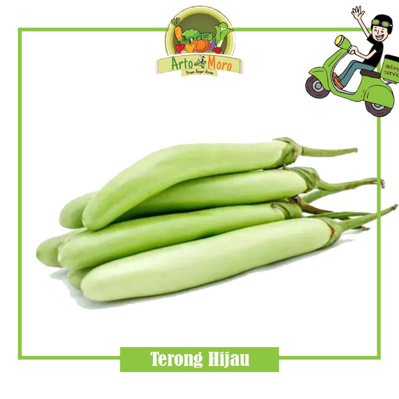 

TERONG HIJAU (Sayur Artomoro) 500 gram