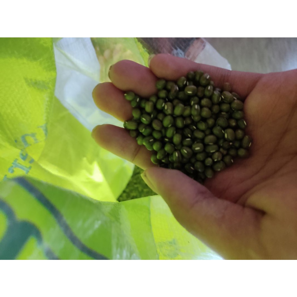 

Kacang Ijo impor 500gr