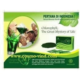 

CMP (Chlorophyll Mint Powder) grosir