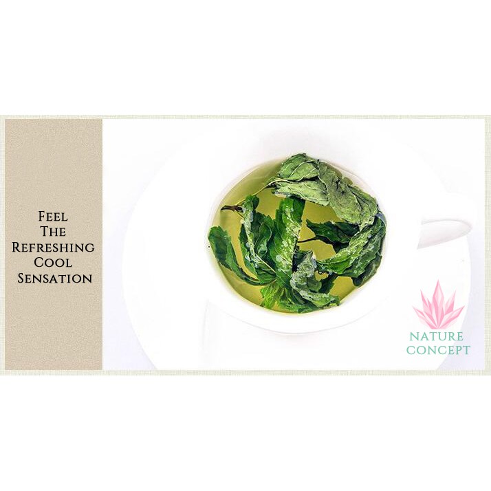 Daun Mint Kering Utuh Dried Mint Leaves Herbal Bo He Ye