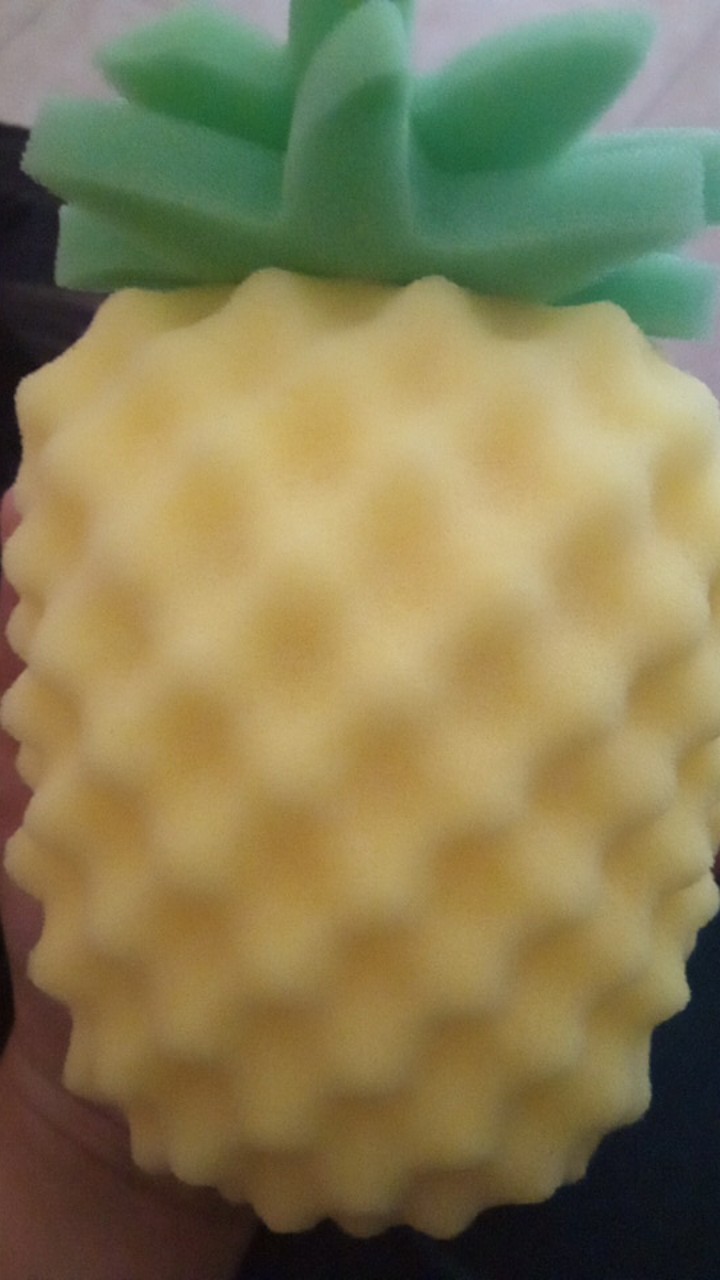 Spons Mandi / Bath Sponge Fruit Series