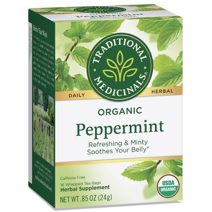 

TRADITIONAL MEDICINALS Organic Peppermint Tea, 16 Wrapped Tea Bags