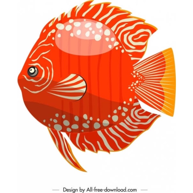 Discus 2”++ All Variant Body Only