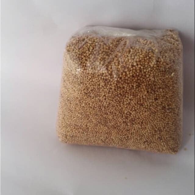 

BIJI KETUMBAR / CORRIANDER SEED 1 KG