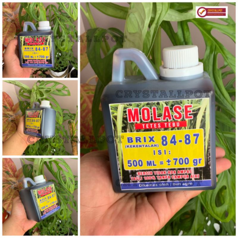 MOLASE TETES TEBU PREMIUM MURNI ASLI TANPA CAMPURAN KEMASAN 500ML - MOLASE 500 ML