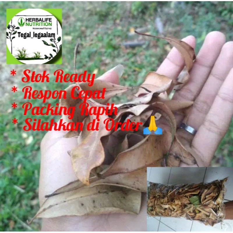 

Dayn Cengkih Kering Kaya Manfaat 100gr