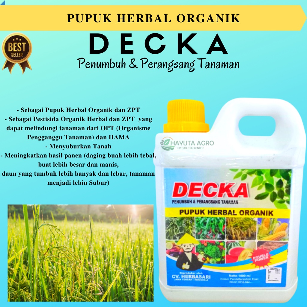 Pupuk Padi Cair Terbaik, Pupuk Padi Bunting, Pupuk Padi Cair Terbaik Anti Hama, Pupuk Cair DECKA Kem