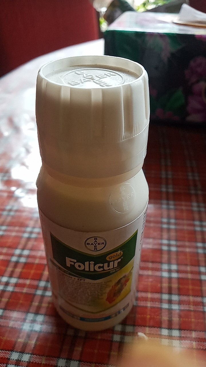 Folicur Gold 430sc 100ml I Fungisida