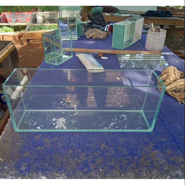 Soliter cupang soliter selfie sokiter sprint soliter ikan cupang toples slay selay nescafe ketapang