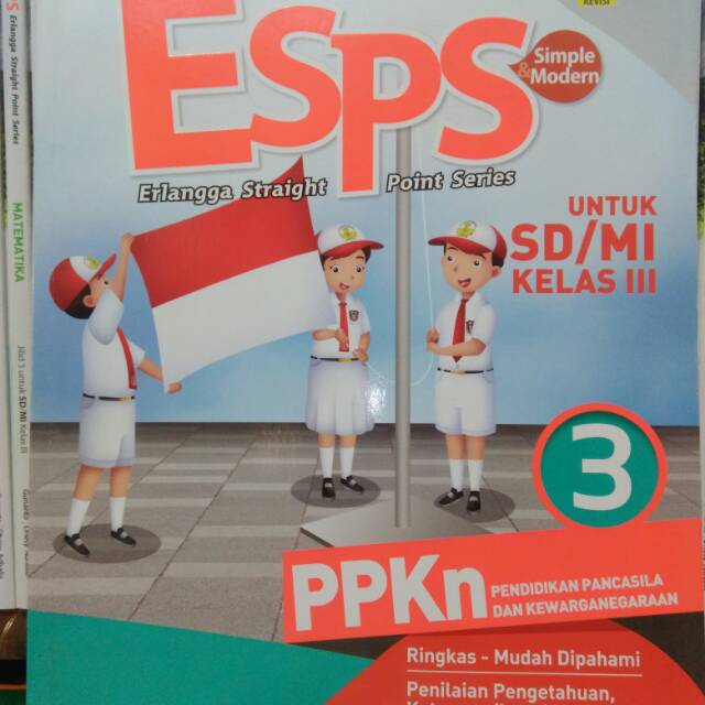 Esps 3 k 2013