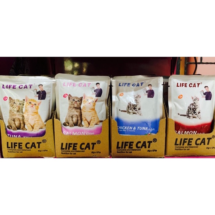 Makanan Kucing Lifecat Pouch 85 gr Adult Kitten