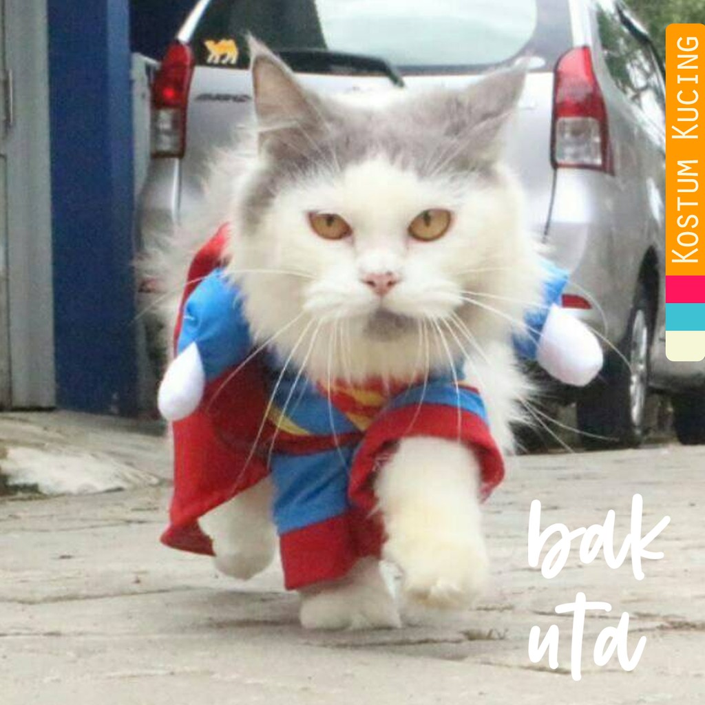 Kostum superman untuk kucing lucu banget / baju kucing size S M L XL