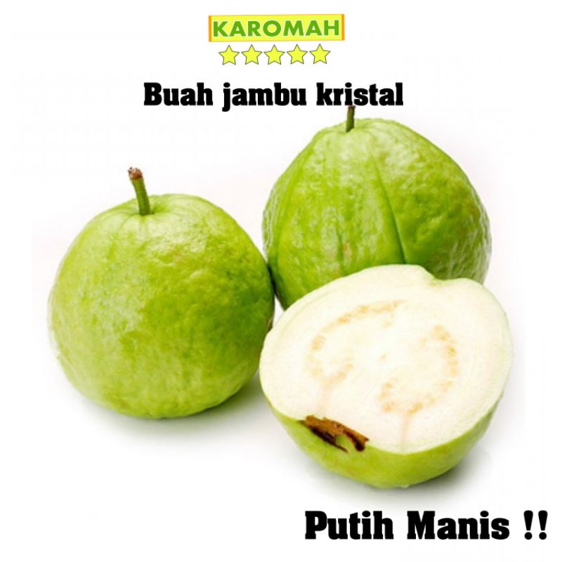 

KAROMAH - BUAH JAMBU KRISTAL PUTIH MANIS 1KG