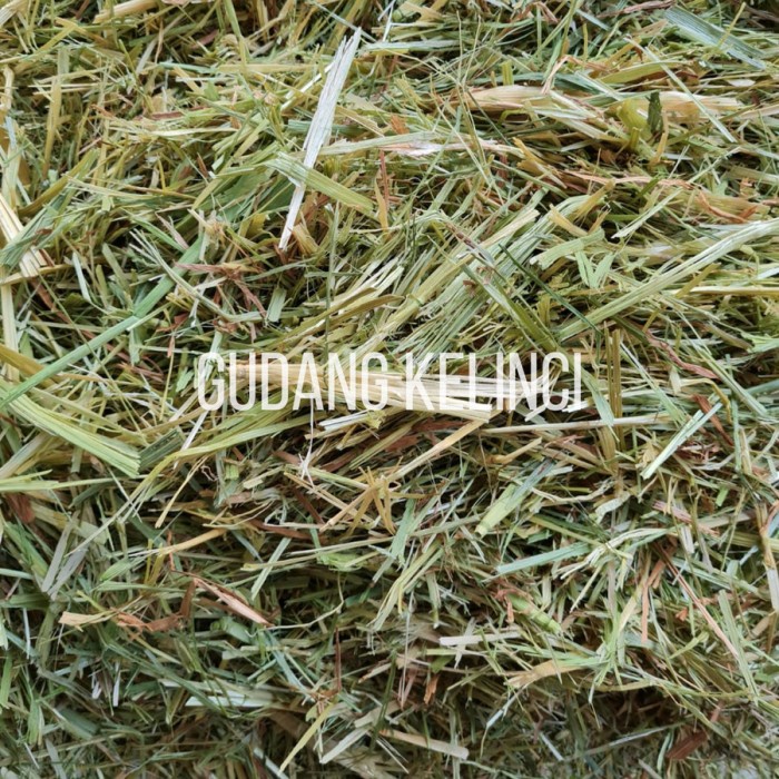 DAILY OATEN HAY NO TIMOTHY MAKANAN KELINCI BEST CHOICE OATEN HAY 1KG