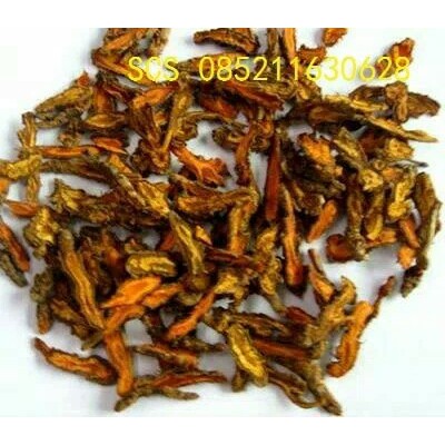 

Huang lian 50 gram