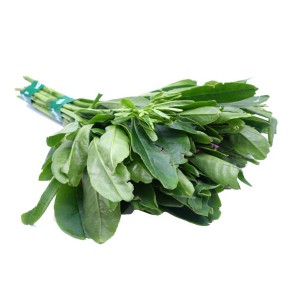 

Daun Gingseng/250gr #Segar #Online #Bandung #Cimahi