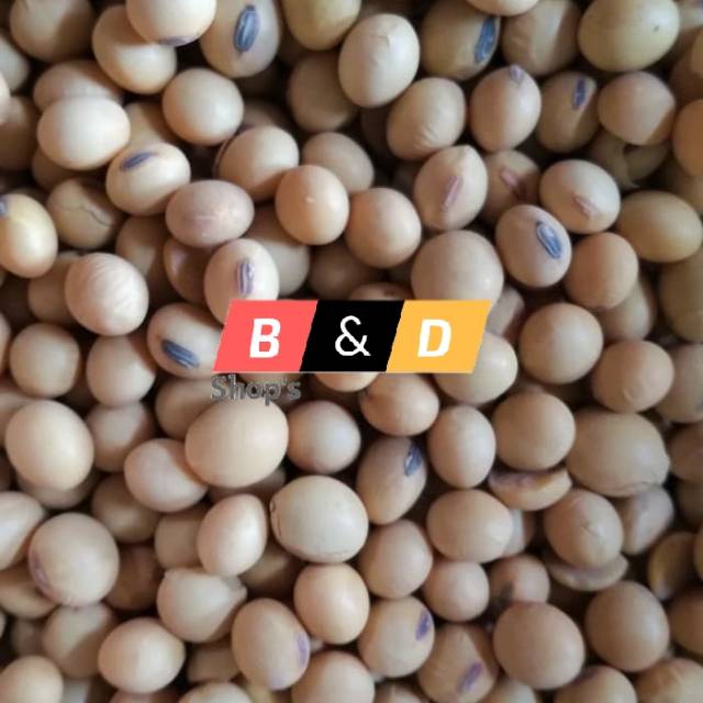 

Kacang Kedelai Netto 1 Kg.